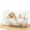 2-Layer Hamster Cage Acrylic Enclosure for Indoor Outdoor Observation and Breeding 4