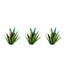 3X 13.7Inch Tequila Rustic Sculpture, DIY Hand Painted Metal Agave Plants,Outdoor Garden Lawn Ornaments-Green