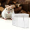 Transparenter Hamster Sand- Und Badebehälter Aus Robustem ABS 3