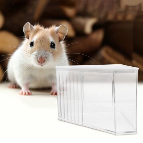 Transparenter Hamster Sand- Und Badebehälter Aus Robustem ABS 2