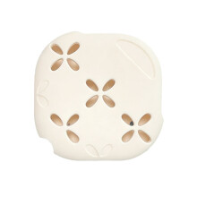 Support de Douche en Silicone avec Ventouse - Plateau D'Aromathérapie Polyvalent pour Salle de Bain et Salon
