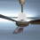 Plastic Fan Accessory Ceiling Fan Cover White Pvc 2pcs 3