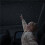 Star Projector Night Light Auto StarrySky Projector for Car USB Stars Space Starry SkyProjector Lamp 5