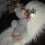 50cm Cloth Body Simulation Doll Doll 4