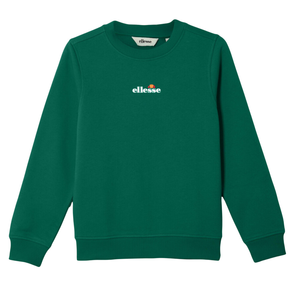 Ellesse (10-11 Years, Dark Green) Boys Fairros 2 Sweatshirt