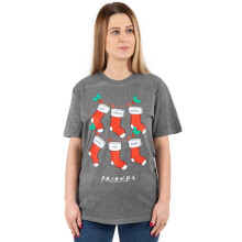 (3XL, Grey/Red/White) Friends Womens/Ladies Stocking Christmas T-Shirt