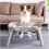 Bebedero Antiderrame para Perros con Soporte Elevado para Todas las Razas de Perros 2