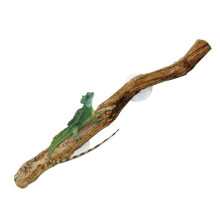 Reptile Branches for Climbing Unique Bearded Dragon Branch Natural Non-Slip Decorations Reptile Decor