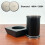 Professional Rolling Knife Sharpener Kitchen Roller Sharpeners 4angle Woodwork Sharpening System Wooden Magnet Base 6