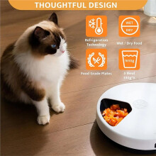 2026 Upgraded Refrigerated Automatic Cat Feeder Wet Food with Semiconductor Cooling, 4 Days Freshness UK Plug