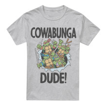 (L, Sport Heather) Teenage Mutant Ninja Turtles Mens Cowabunga Dude T-Shirt