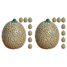 16Pcs Lifelike Resin Cantaloupe Fruit Models for Dollhouse Decor