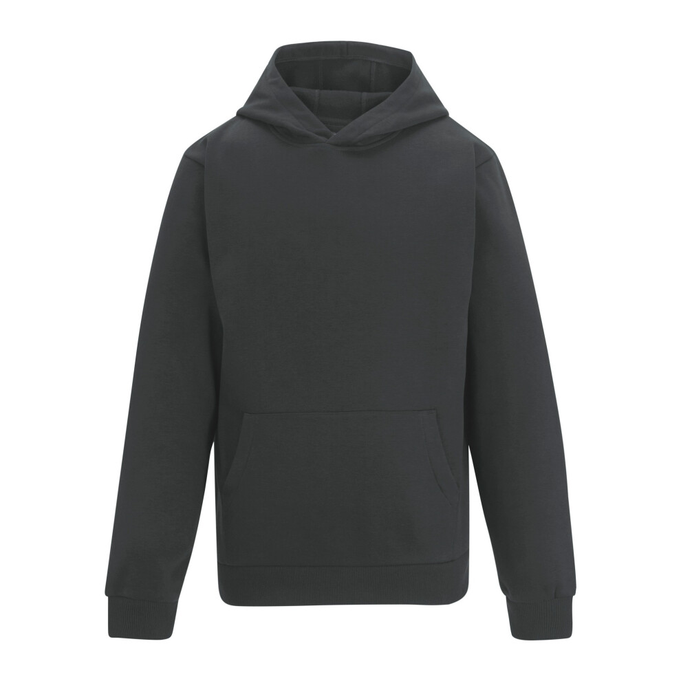 Regatta (S, Solid Grey) Mens Pro Trade Hoodie