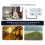 Tuya Temperature Humidity  Sensor WiFi Temperature Humidity  Sensor with Temperature and Humidity Probe 5