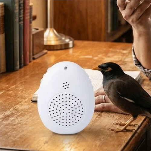 Recording Bird Learning Machine Interactive  Talking Trainer, Timer-Controlled Multi-Segment Audio Playback Device 1