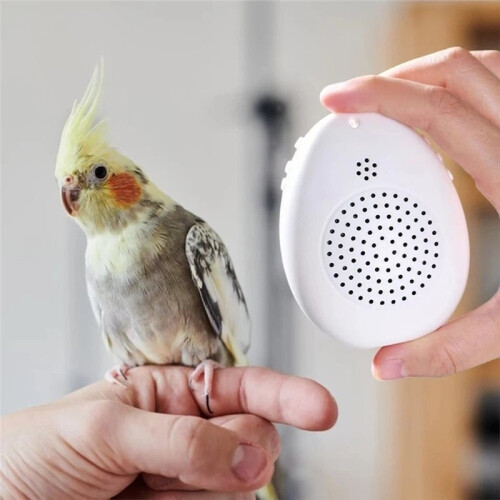 Recording Bird Learning Machine Interactive  Talking Trainer, Timer-Controlled Multi-Segment Audio Playback Device 2