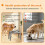 Conjunto de Comedouros Elevados e Dobráveis Antiderrapantes para Cães, com 2 Tigelas de Aço Inoxidável. 3