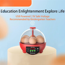Sale Incubator Small Household Automatic Egg Incubator Intelligent Chicken Duck Incubator Hatching Box