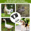 4 Pcs Adjustable Chicken Harness with Leash- 4 Styles Comfortable Hen Vest Breathable Mesh Training Harness and Leash 6