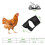 4 Pcs Adjustable Chicken Harness with Leash- 4 Styles Comfortable Hen Vest Breathable Mesh Training Harness and Leash 10