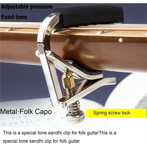 Can Be Used for Folk Guitar, Extended Pitch Transposition, Adjustable Intensity, Adjustable Pitch Shift Clip 2