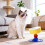 Comedero Elevado Ancho para Gatos con Soporte Ajustable 8
