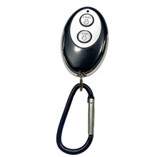 Afstandsbediening Sleutel Fob voor Westinghouse Wgen4500 Chiampion4000 Generator2600 Generator 9.2600.00