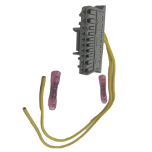 Kit de Réparation de Faisceau de Câblage Informatique 107045 1254632686 211PC109S8017 2322001 pour  Panda 169 (Carrosserie)