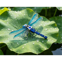 DIY Robotic Insects Science Invention Electromechanical Dragonfly for School Competition Non-Soldered DIY Kit