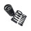 Motorboat Spark for  130 260 300 Valve Spring 5