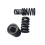 Motorboat Spark for  130 260 300 Valve Spring 6