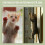 Window Fly Screen, Cat Screen, No Drilling, Cat Net, Scratch-Resistant, Stable for All Indoor Windows, Skylights 5