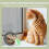 Window Fly Screen, Cat Screen, No Drilling, Cat Net, Scratch-Resistant, Stable for All Indoor Windows, Skylights 6