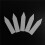 2000 Pcs Reusable Pvc Plant Tag Label Tree Fruit Seedling Garden Flowerpot Plastic Label Sign Sorting Tool 4