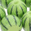 24Pcs Resin Mini Watermelons Artificial Fruit Models for Craft Decor 6