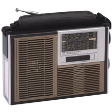Tuning Recorder Player with FM/AM/SW Stereo Radio Wireless Speakers for Home