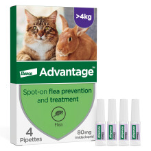 Advantage Spot On Flea Treatment For Large Cats and Rabbits Over 4kg (4 pipettes, 80mg), Kills Fleas Within 24 Hours, Prevents Further Infestation Fo