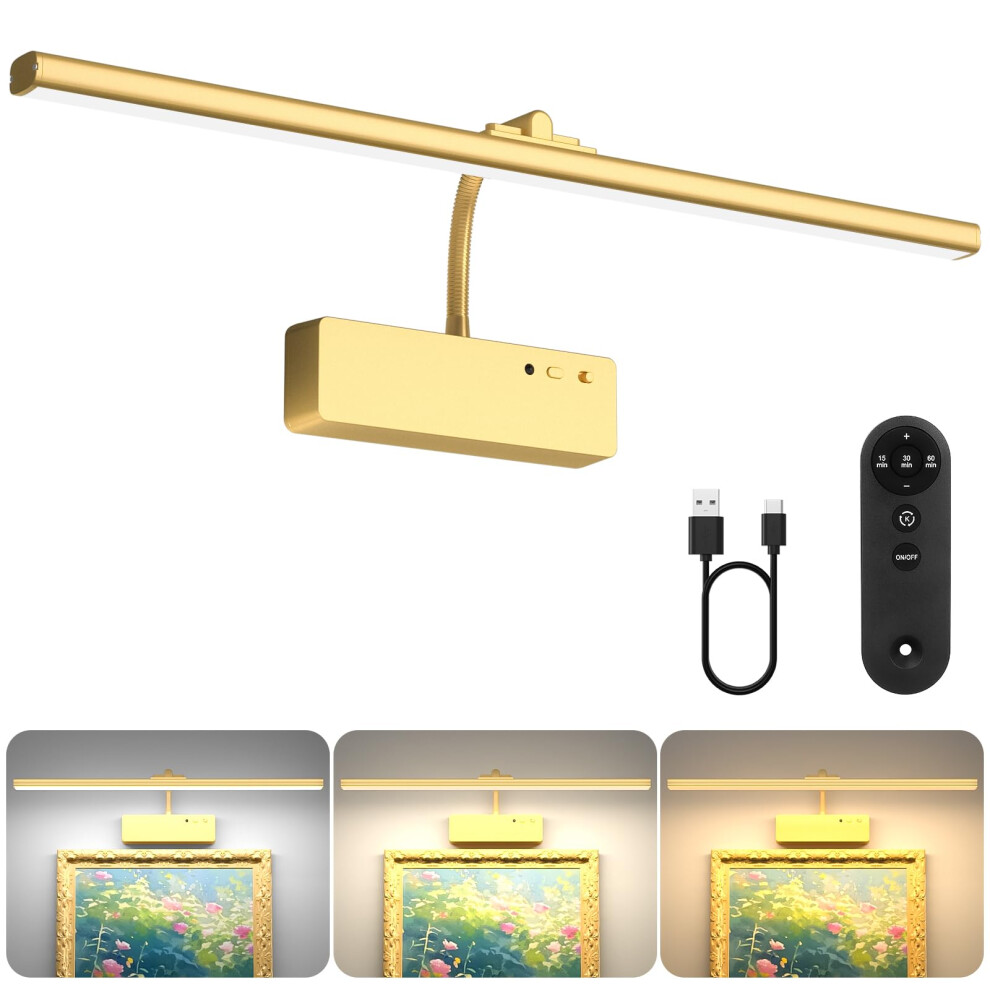 Biz Picture S For Wall, 5400Mah Rechargeable Wall S With Remote, Dimmable And 3 Colour Temperatures Paintings Battery Operated, Light 7060751647568