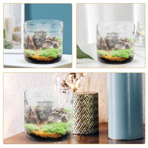 Errarium Potje Transparant Voor En Decoratie