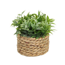 Small Fake Potted Plants,Seagrass Handwoven Planters,Eucalyptus Plant for Home Bathroom Shelf Tabletop Desk Room Decor A
