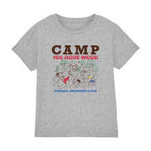 (3-4 Years, Athletic Heather) Winnie the Pooh Childrens/Kids Camp 100 Acre Woods Heather T-Shirt