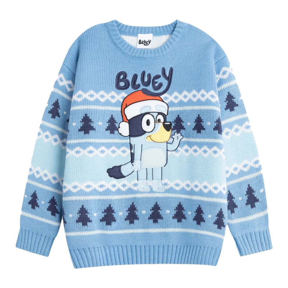 Y (5-6 Years, Light ) Boys Character Christmas Jumper Blue