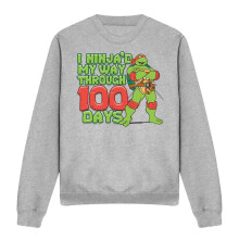 (L, Athletic Heather) Teenage Mutant Ninja Turtles Unisex Adult I Ninja'd My Way Through 100 Days Sweatshirt