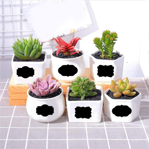 300PCS Chalkboard Labels Erasable Reusable Rectangle Blackboard Stickers Irregularly Shaped Name Tags 1