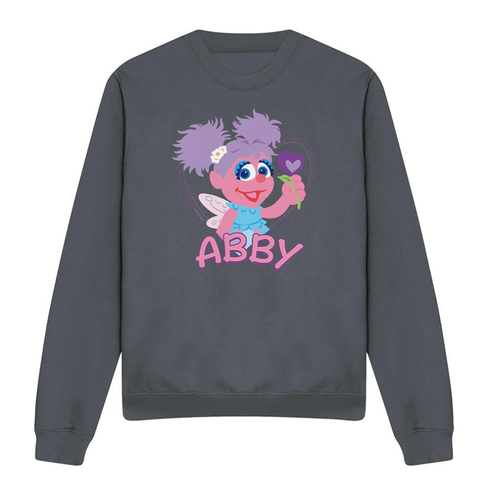 Sesame Street (Xl, Charcoal) Unisex Adult Abby Cadabby Flat Sweatshirt Multicoloured