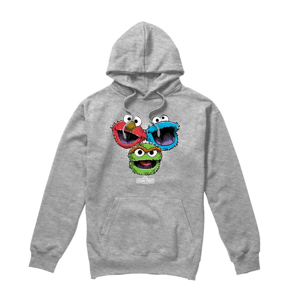 Sesame Street (L, Athletic Heather) Unisex Adult Halftone Heads Heather Hoodie Multicoloured