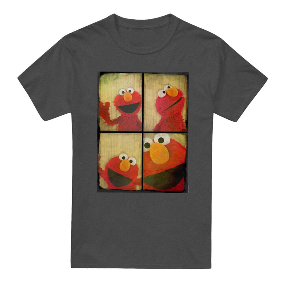 Sesame Street (3Xl, Charcoal) Unisex Adult Photobooth Heather T-Shirt Multicoloured