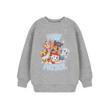 Paw Patrol Sweatshirt (Unisex Kids Grey)