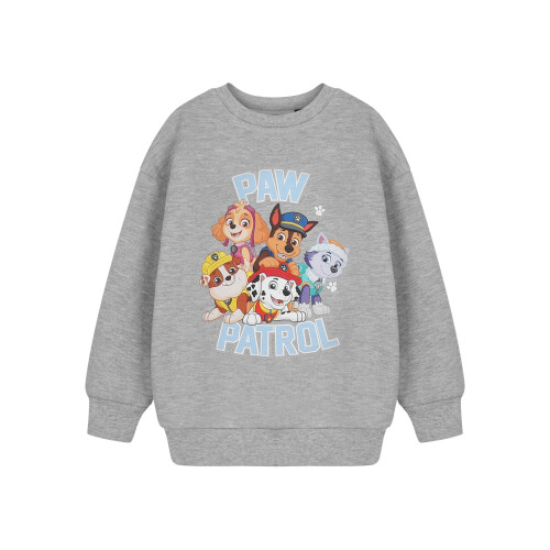 Paw Patrol Paw Patrol Sweatshirt (Unisex Kids Grey)