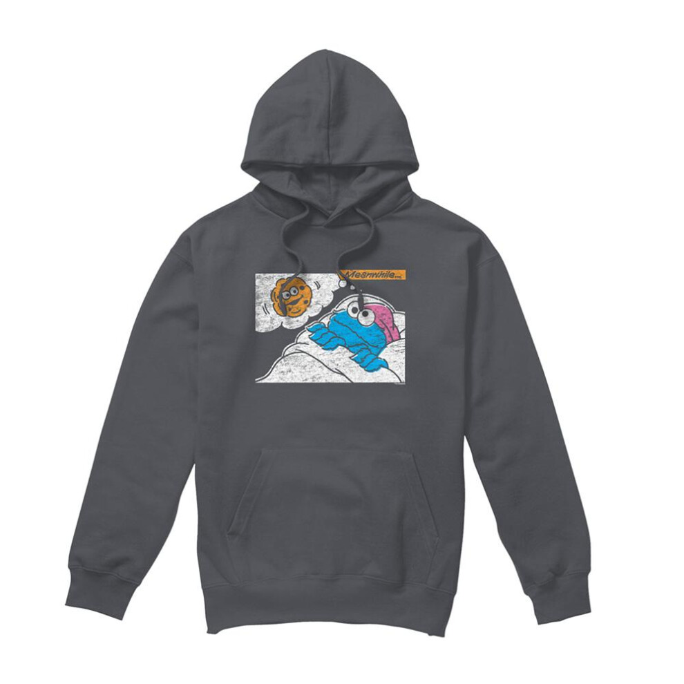 Sesame Street (M, Charcoal) Unisex Adult Meanwhile Hoodie Multicoloured